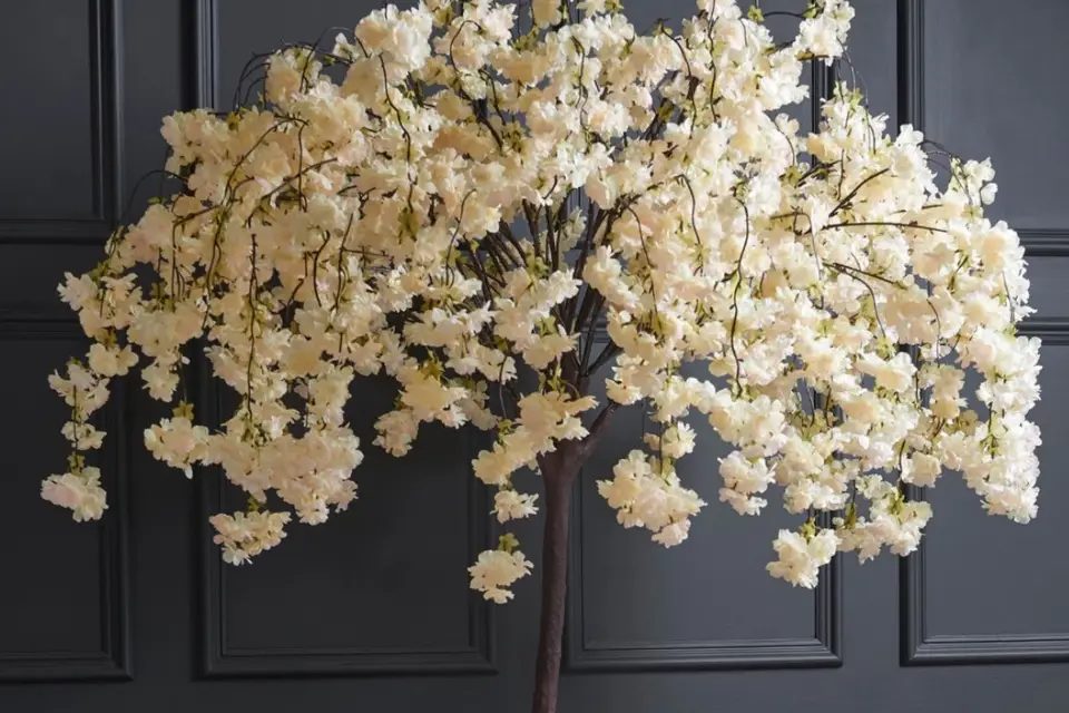 cw-blossom.jpg